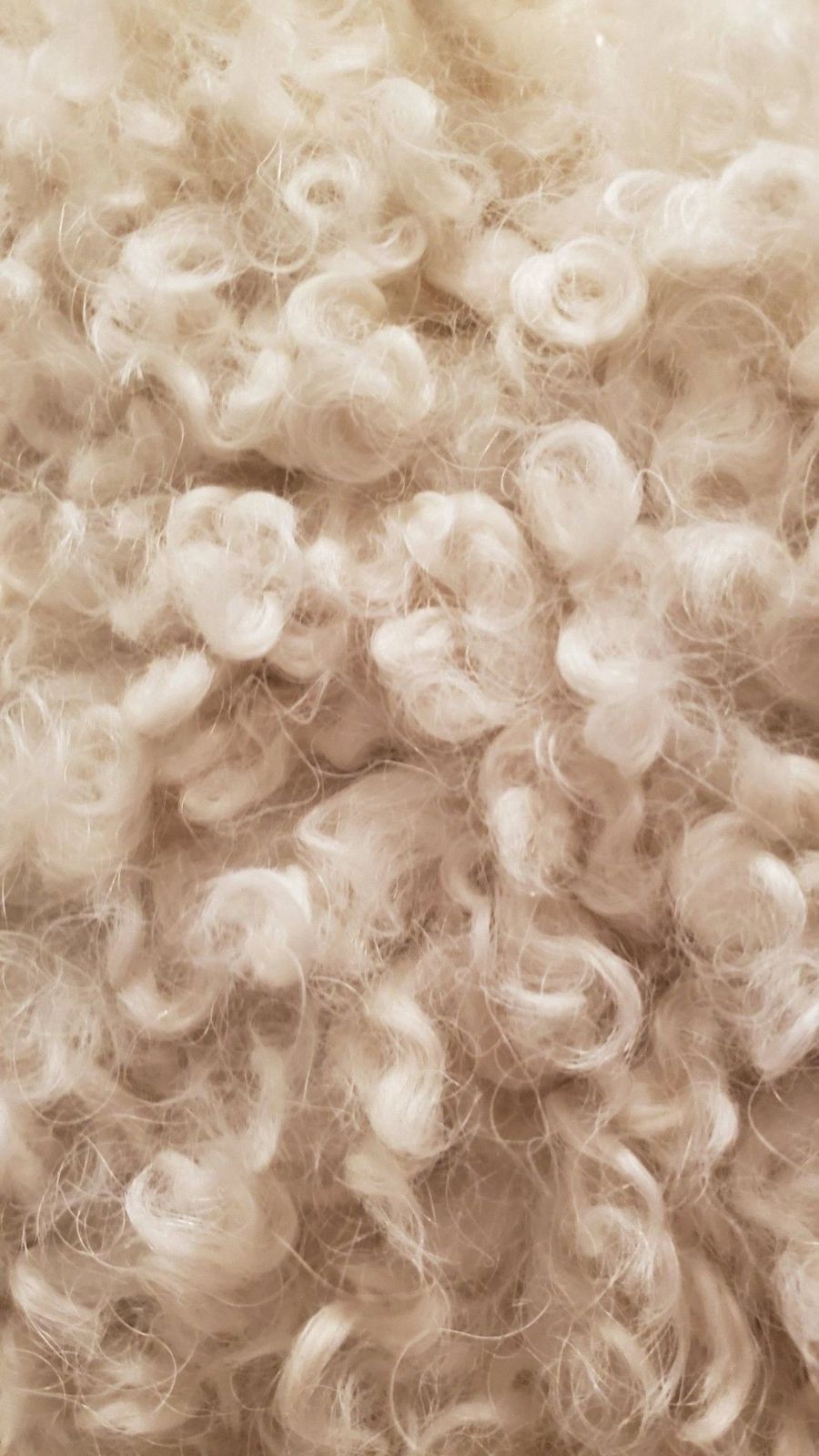 Curly wool fleece in the light
